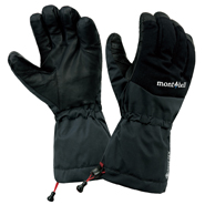 Alpine Gloves Fit Men's